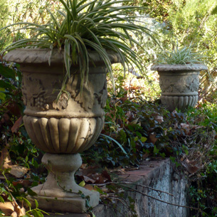planter