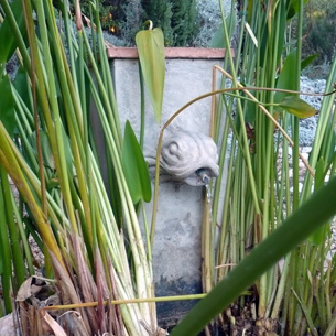 water feature