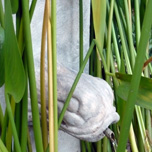 water feature